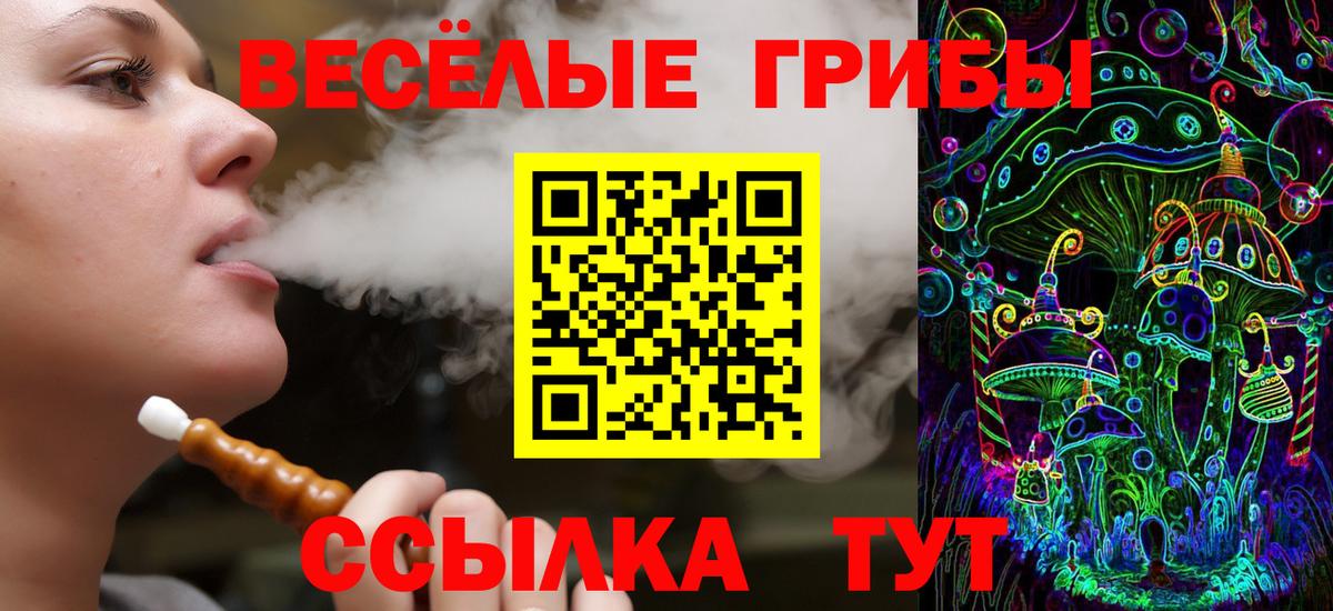 Псилоцибиновые грибы Cubensis Зерноград