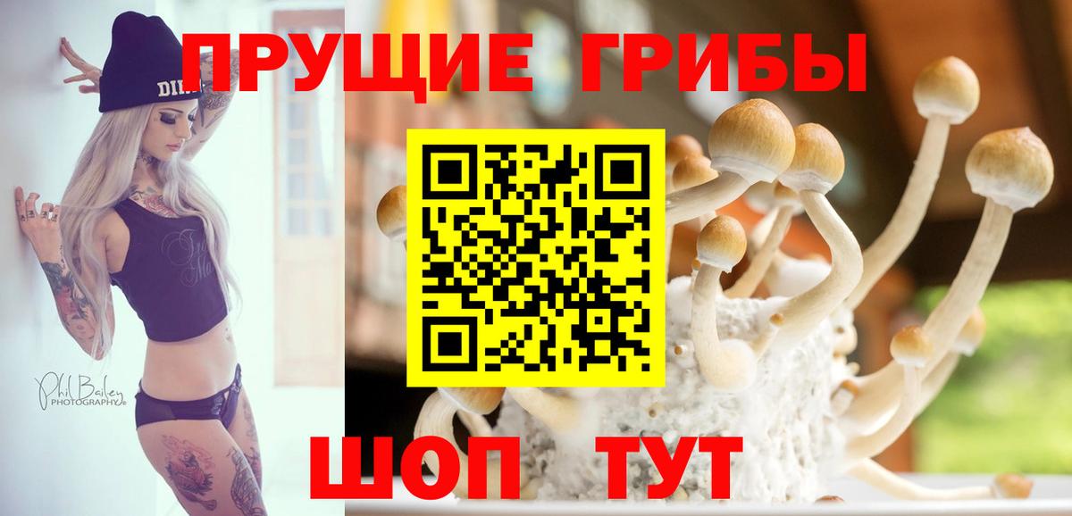 Галлюциногенные грибы мицелий  Галлюциногенные грибы GOLDEN TEACHER  Зерноград  Вход с VPN 